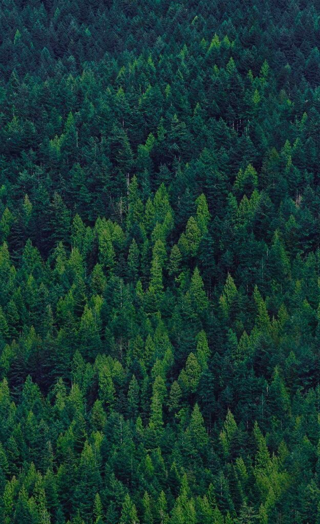 c1e480866c12dc6f039ab3a9a52f2e1d